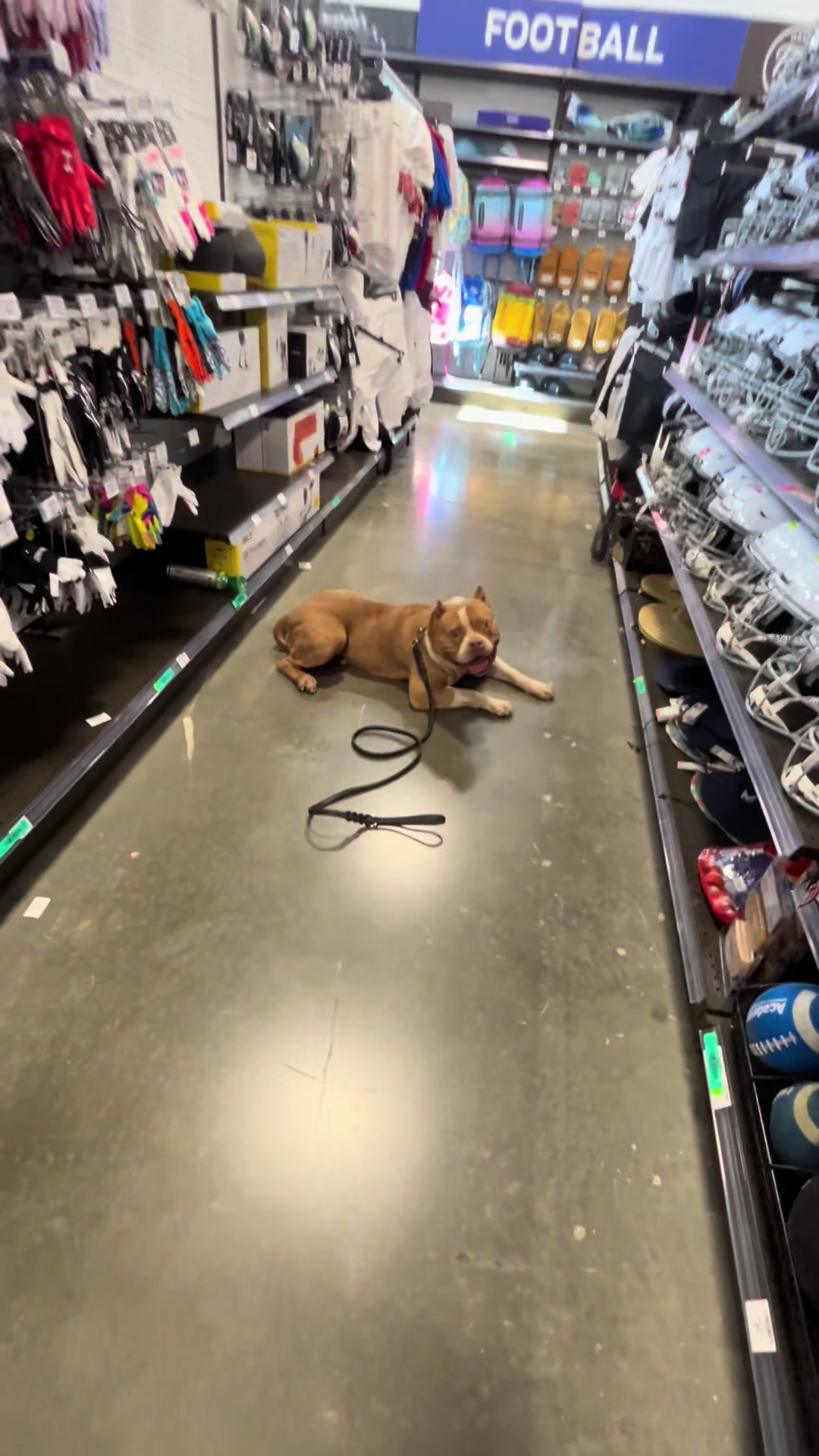 @HardBody K9 Training