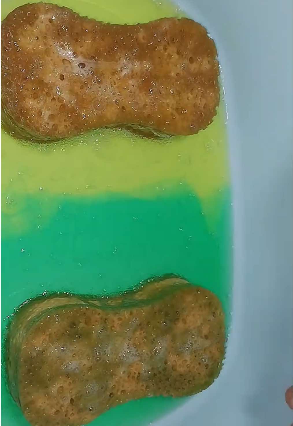 @HD Spongetok