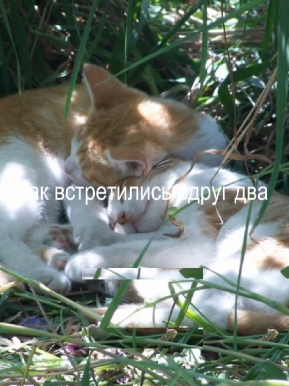 @алинверк