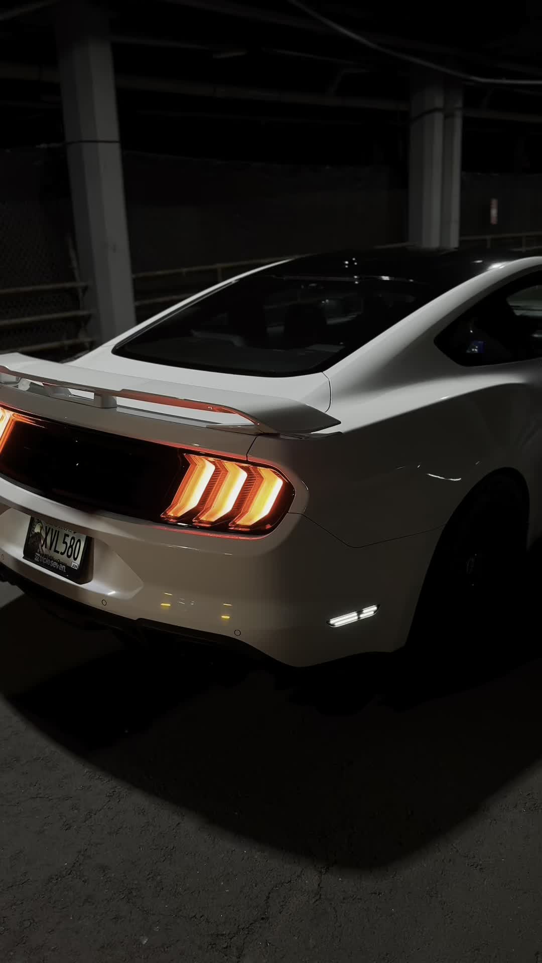 @lonestarrr_5.0