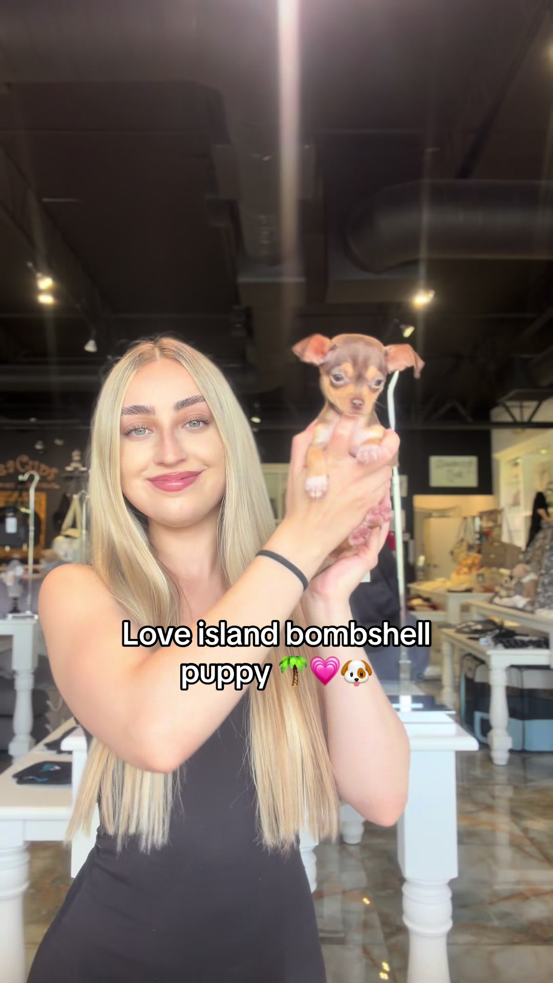 @TeaCups, Puppies & Boutique &reg;️