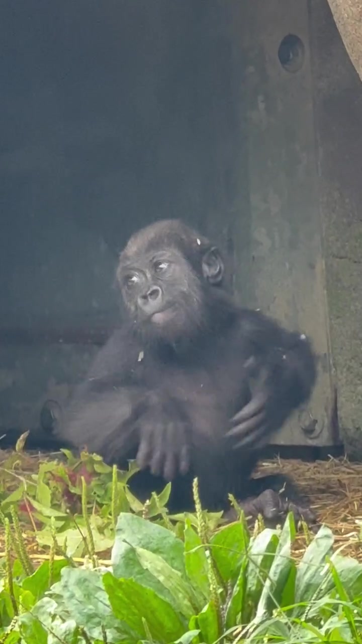 @Cincinnati Zoo