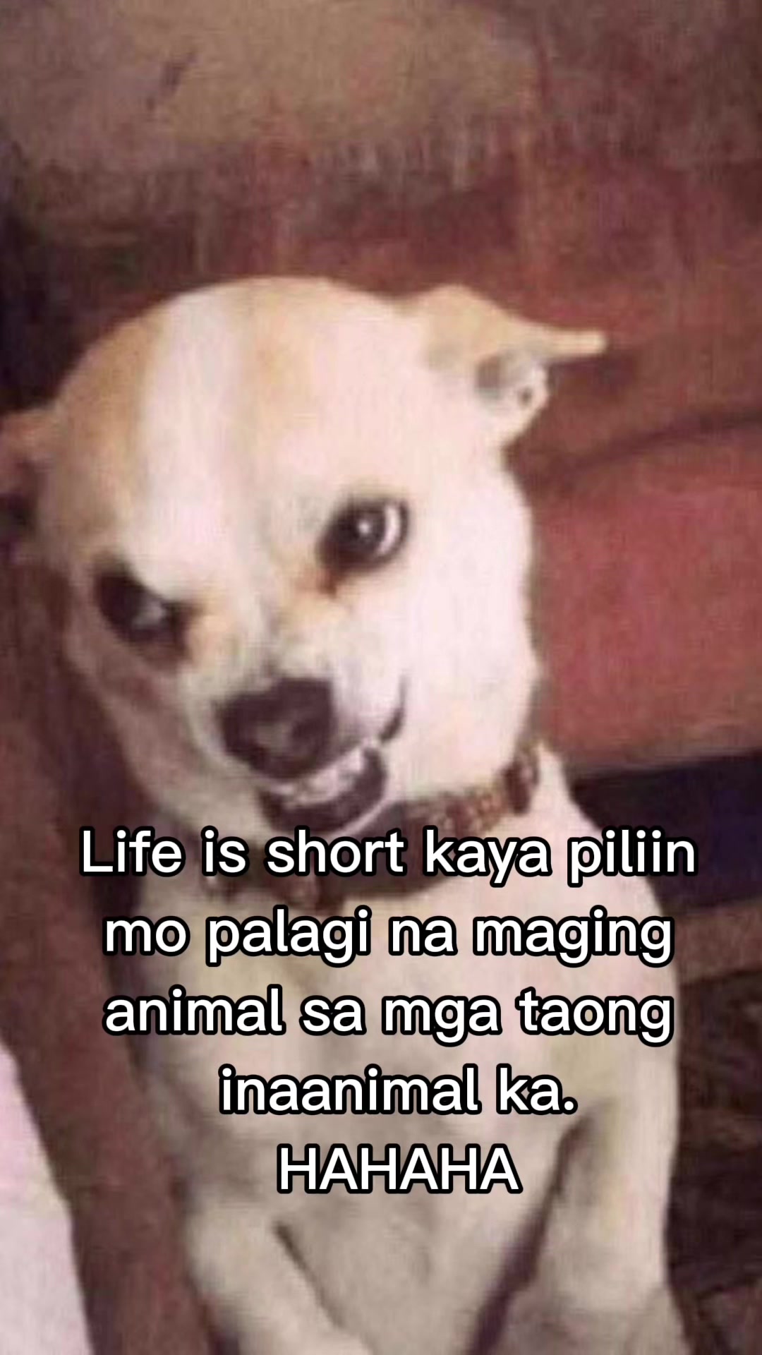 @LANGLANG