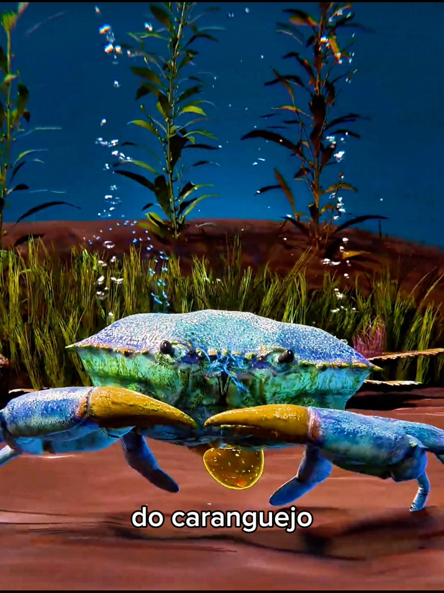 @Curiosity