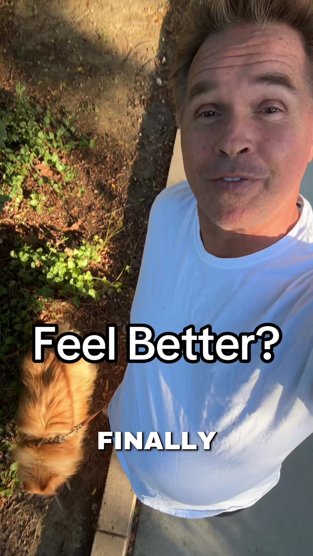 @reliefmastery