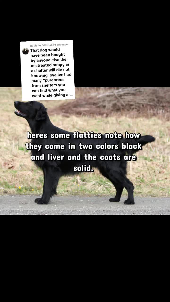 @julia