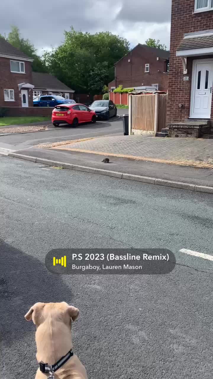@Kez0113hpdges