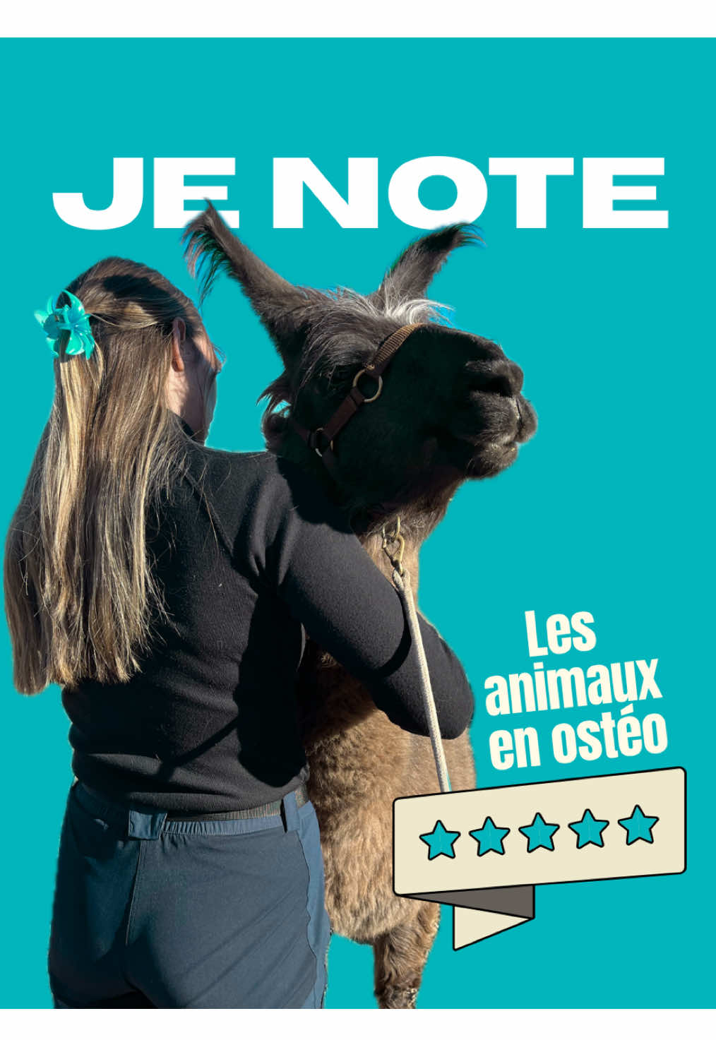 @Animae Ostéo