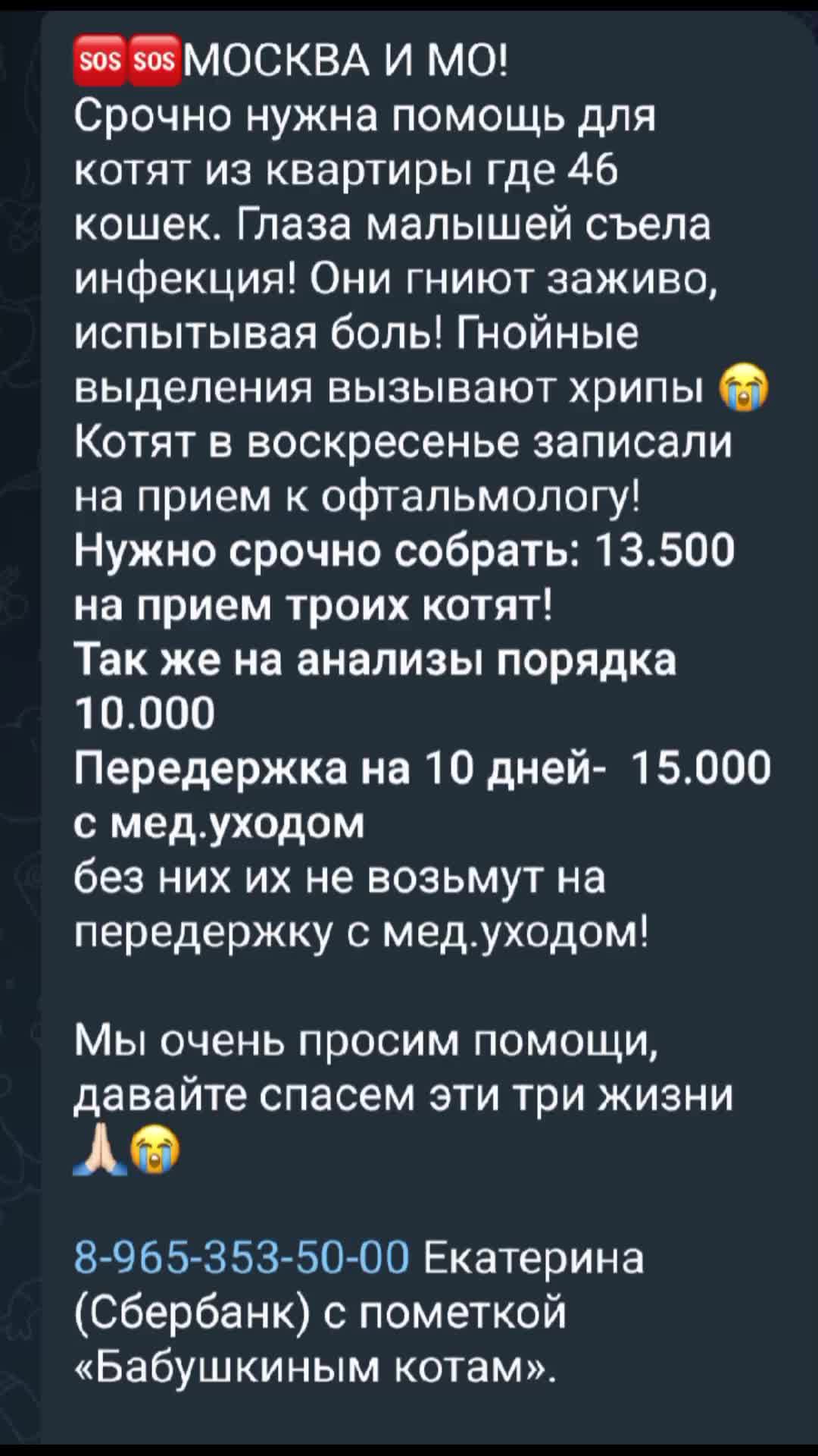 @Animals of Khimki