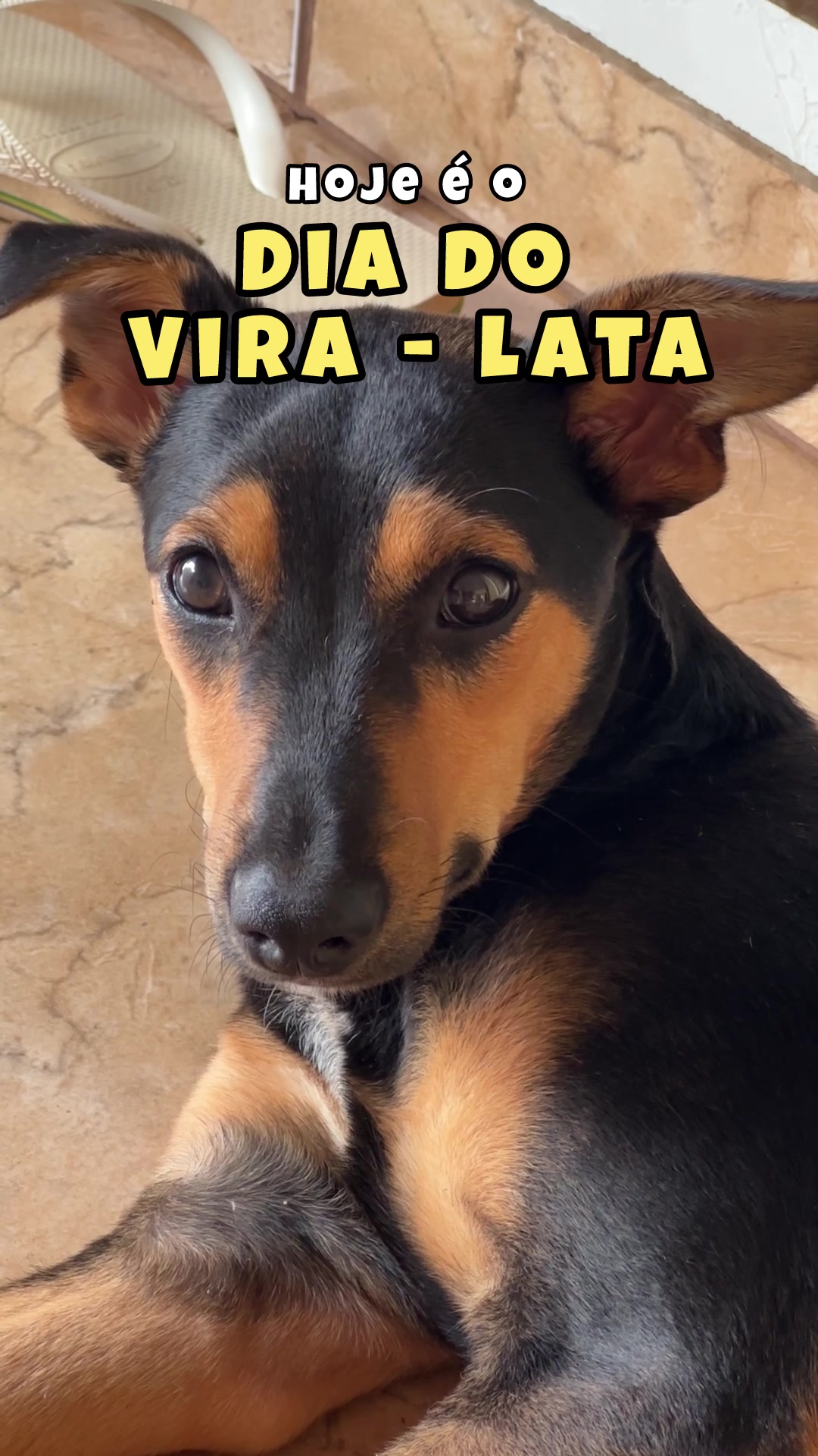 @Mileninha