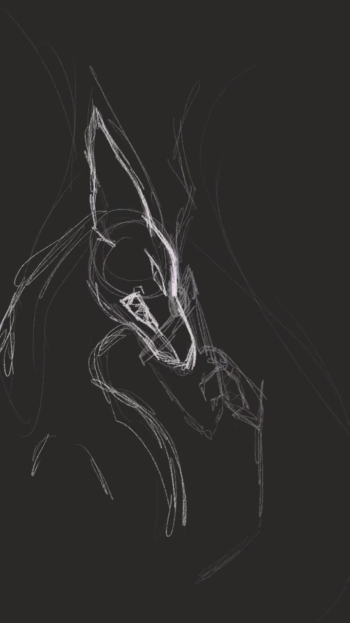 @🪶Nighthawk’s Blade⚔️