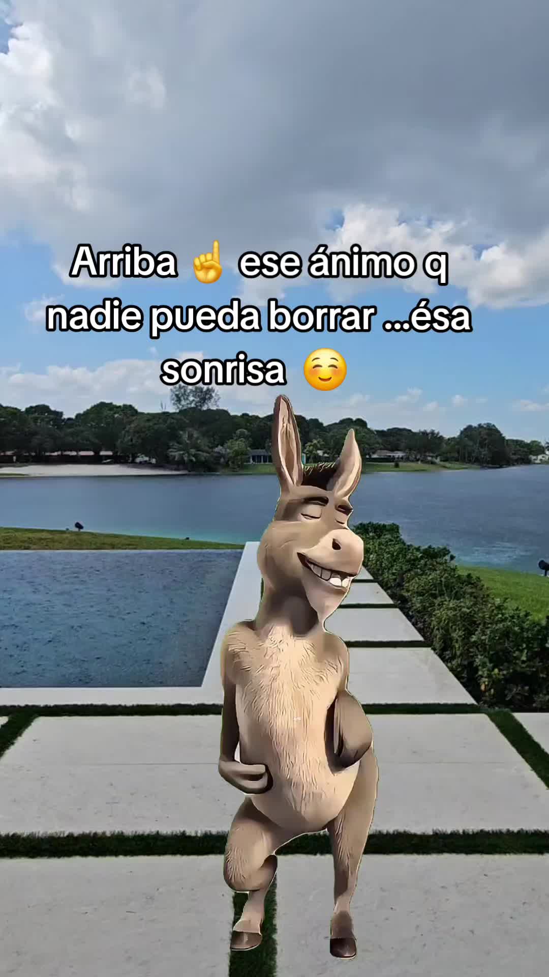 @ANJELICA@