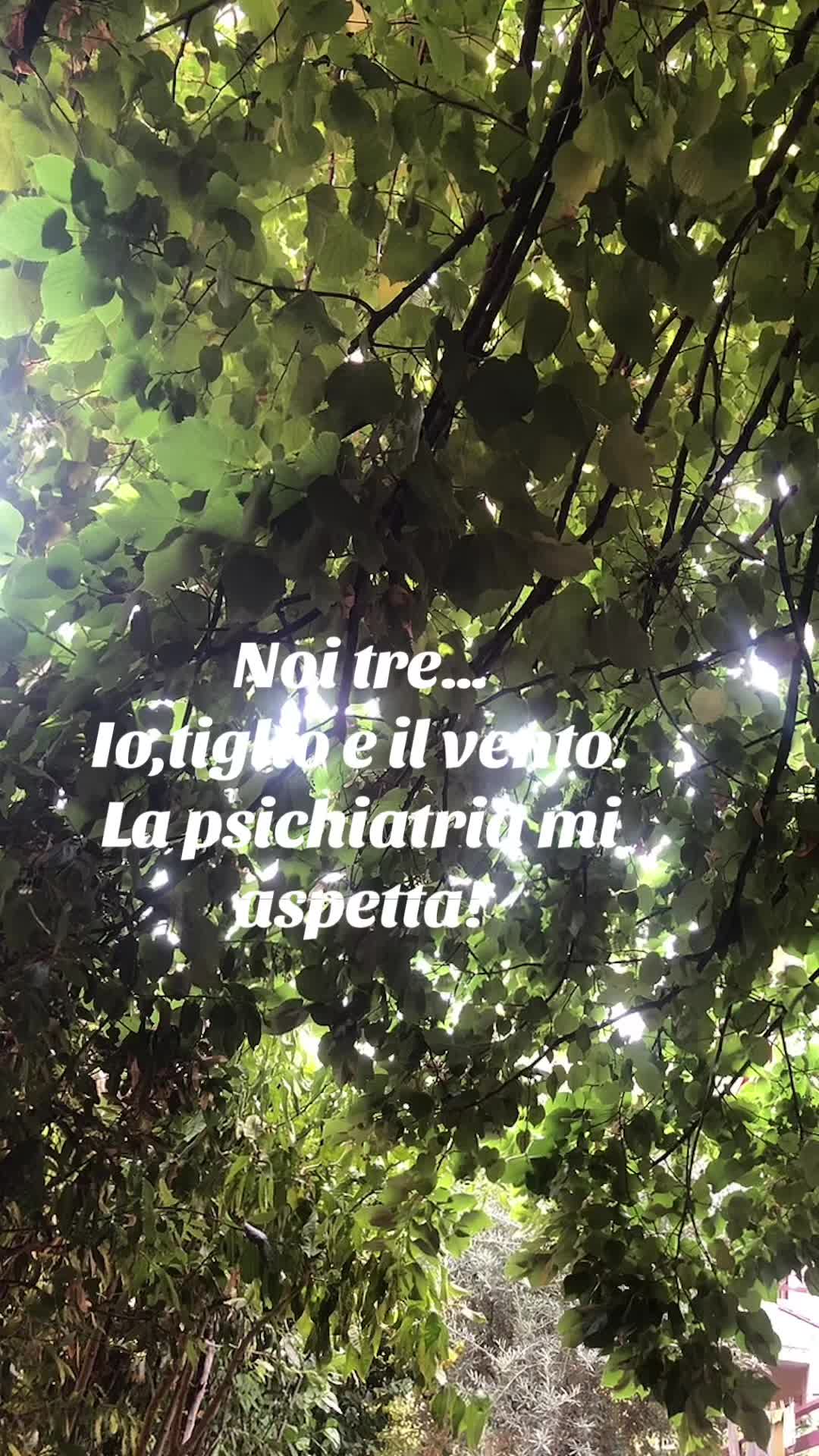 @⭐️MIA⭐️