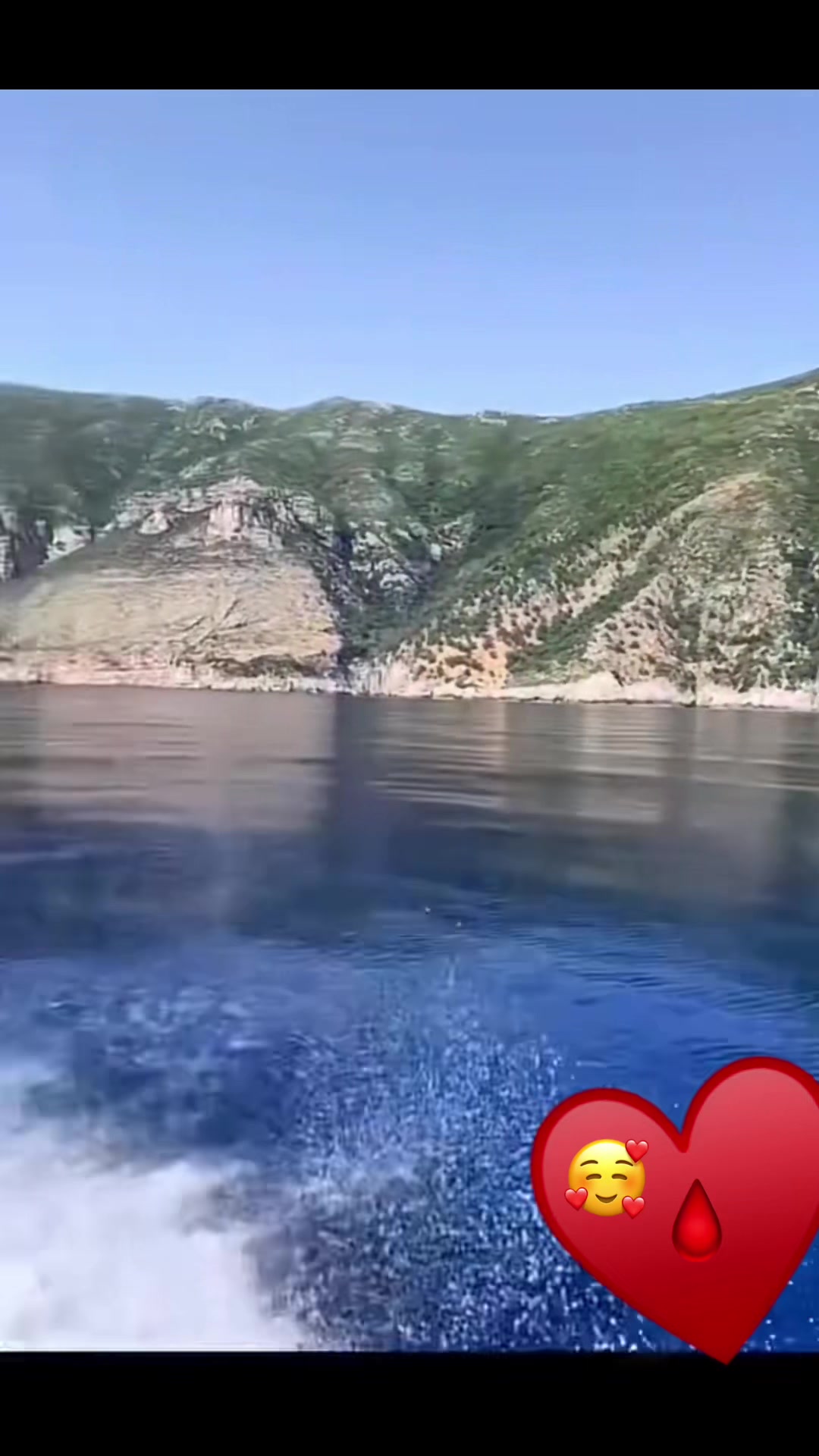 @claudiamorleo653
