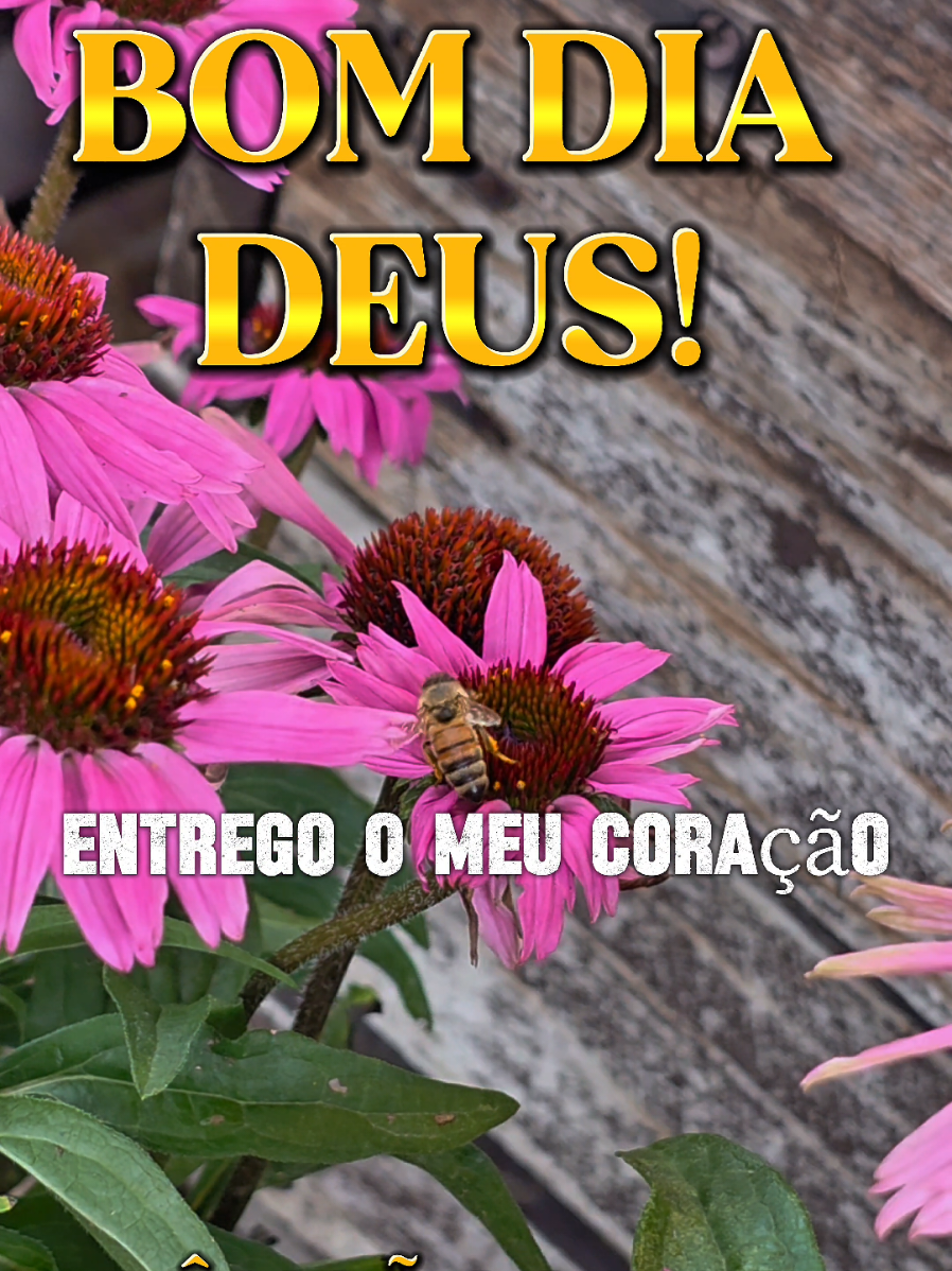 @PromessadeDeus91