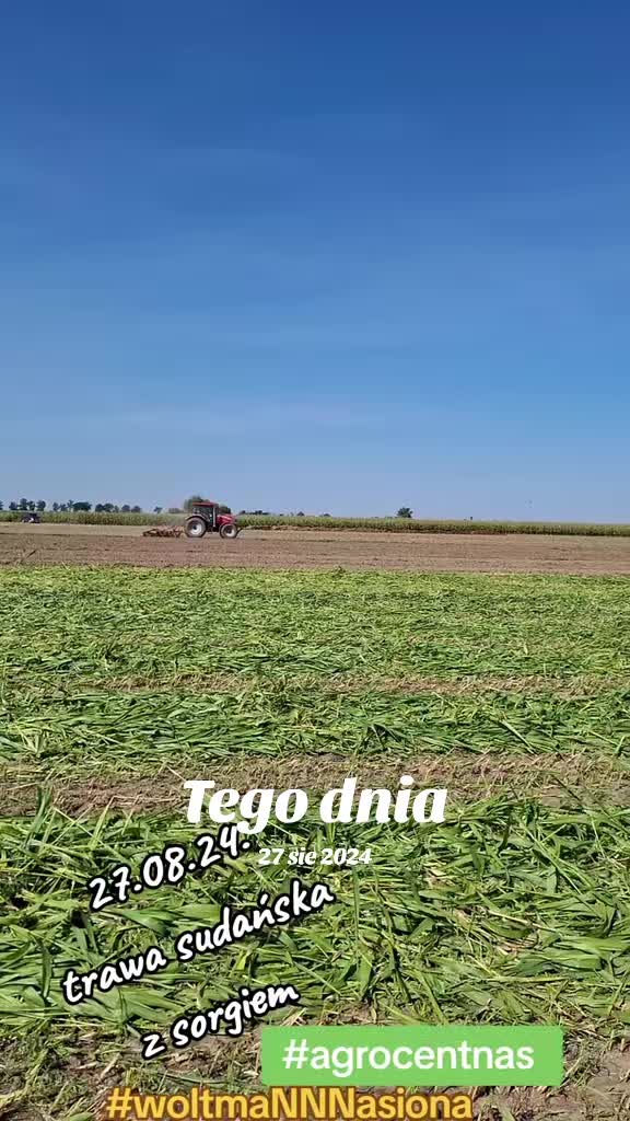 @WOLTMANNNASIONA