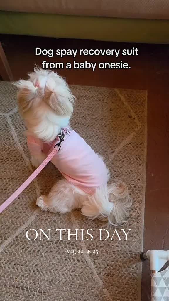 @Little Miss Mollie