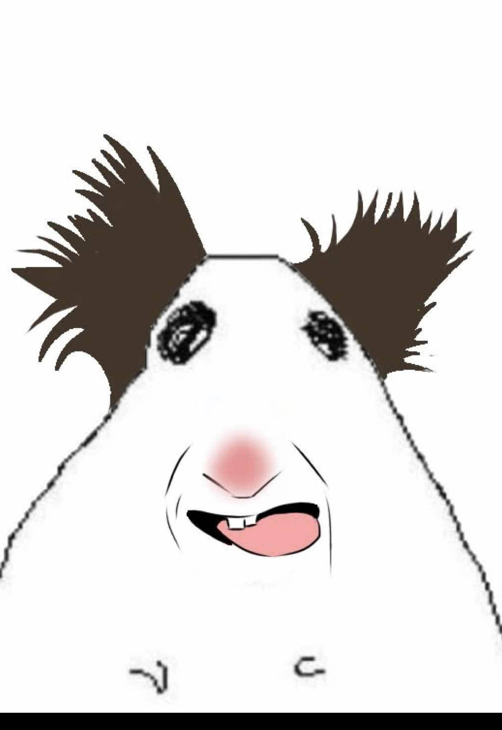 @≽^•˕• ྀི≼