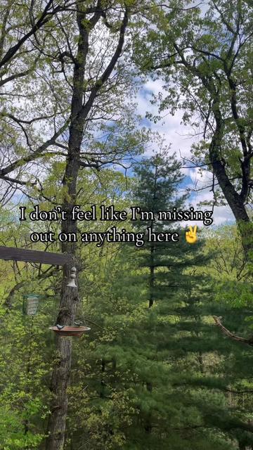 @cedarpineacres