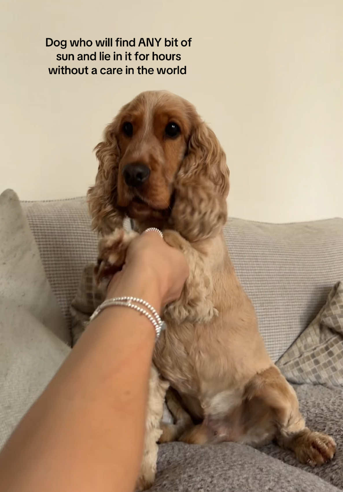 @Rach & Milo 🧡