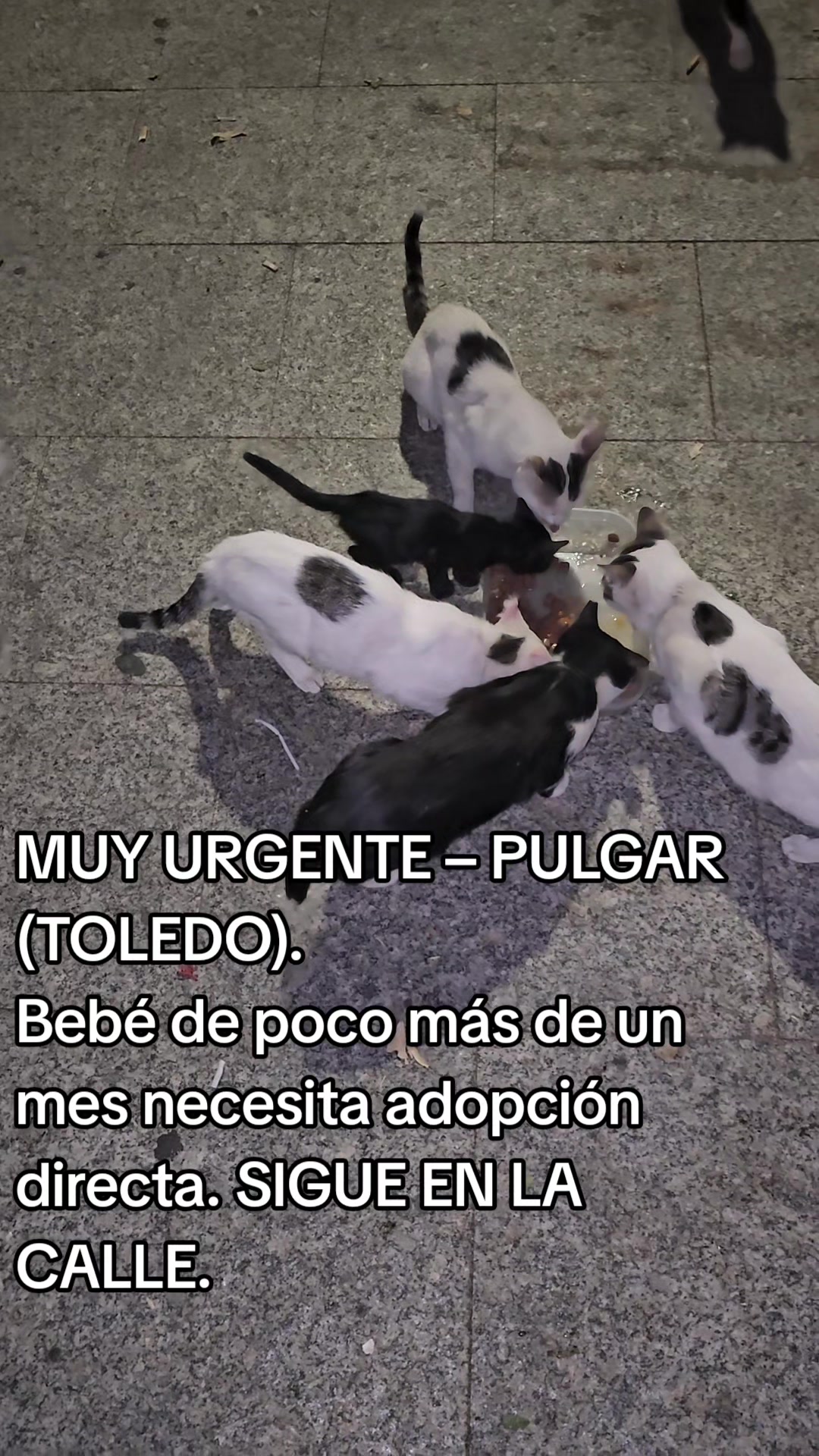 @garritasespaciales