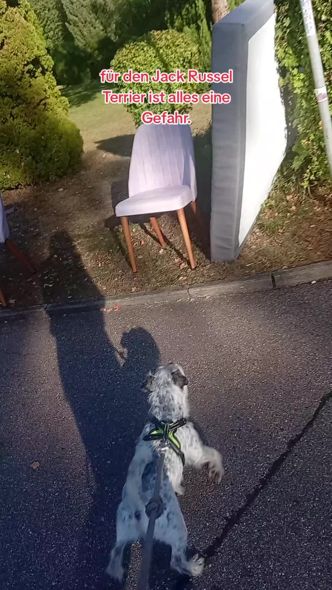 @Samm Geng Planet