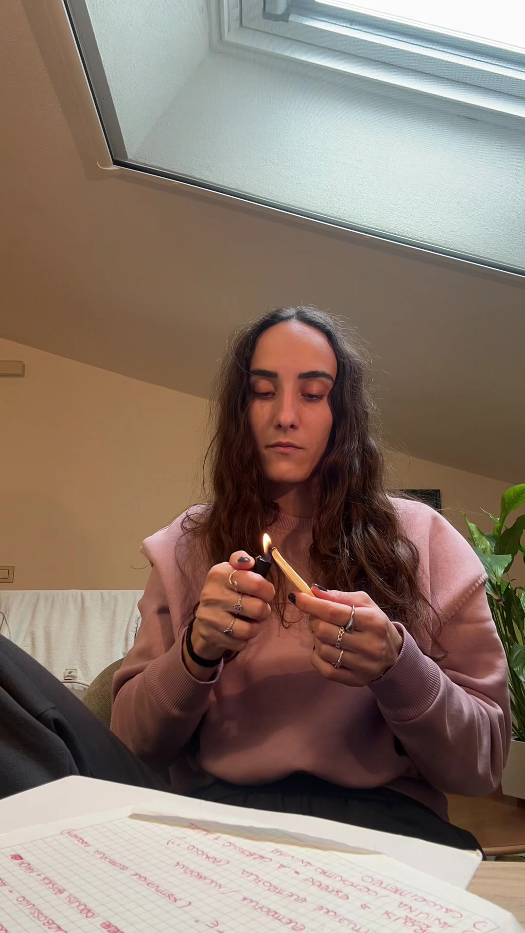 @alessiapiraccini_