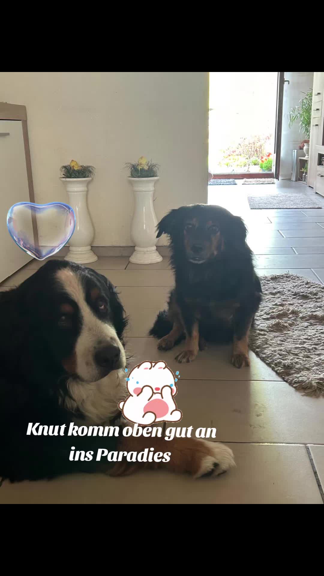 @🤍Simi🤍