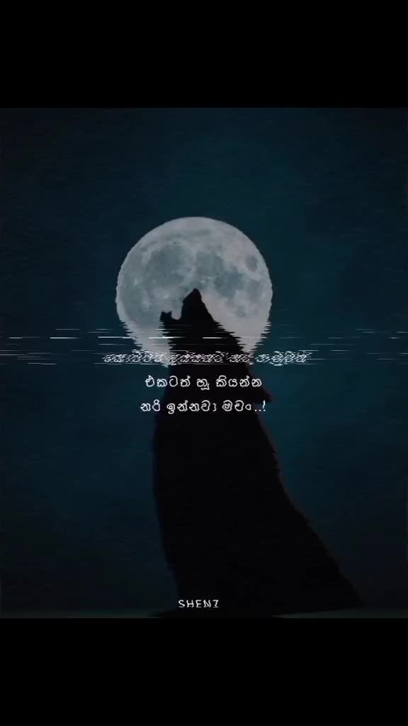 @SHENZ_QUOTES