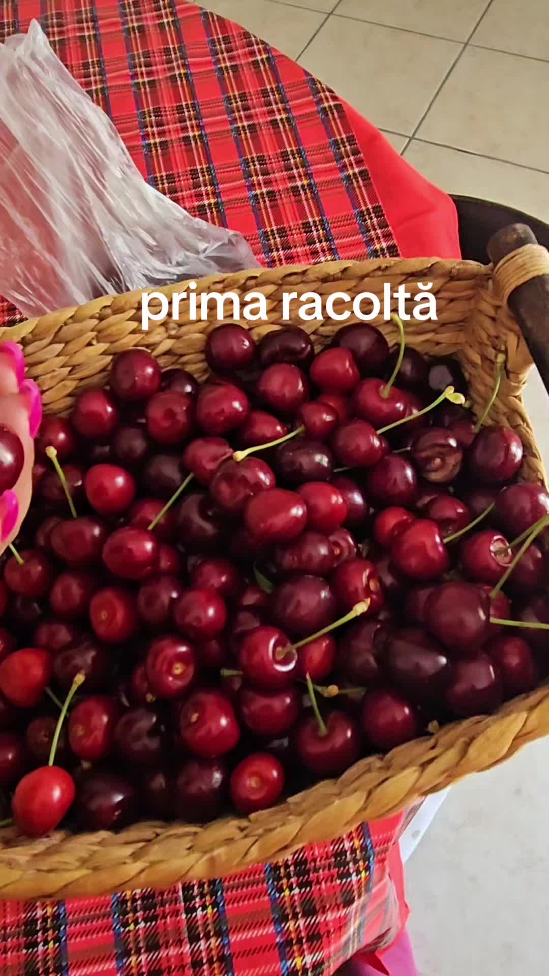 @Ramona Mona