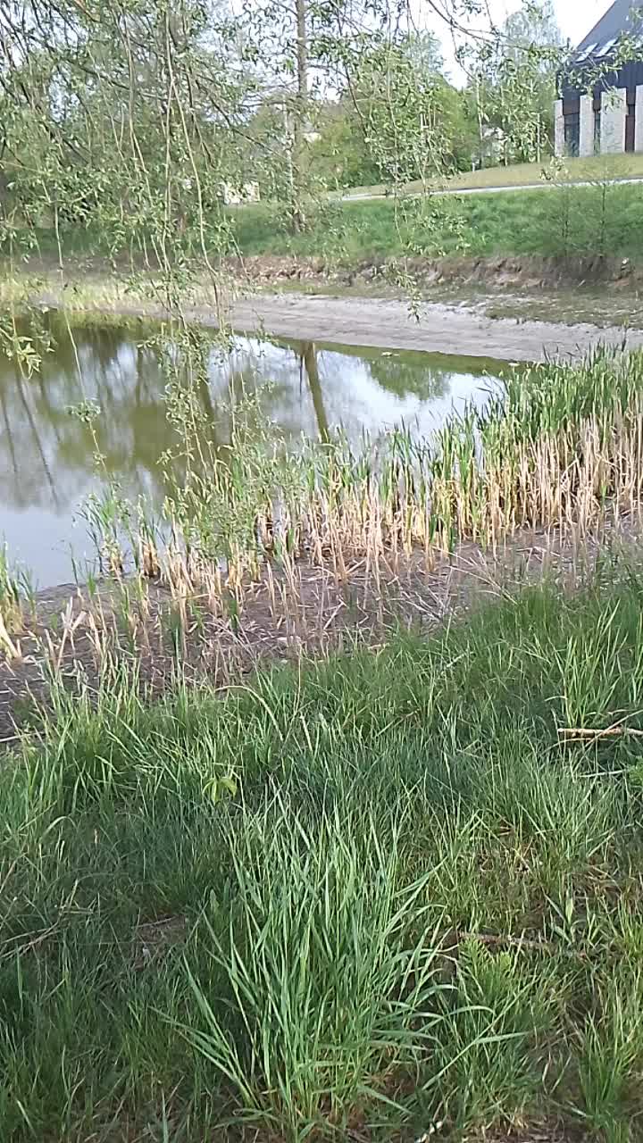 @пілігримІван Рябущиць