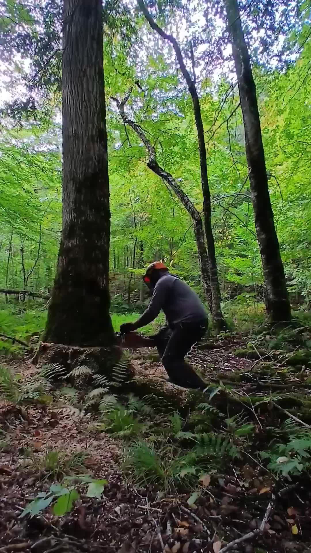 @JoeyLogger