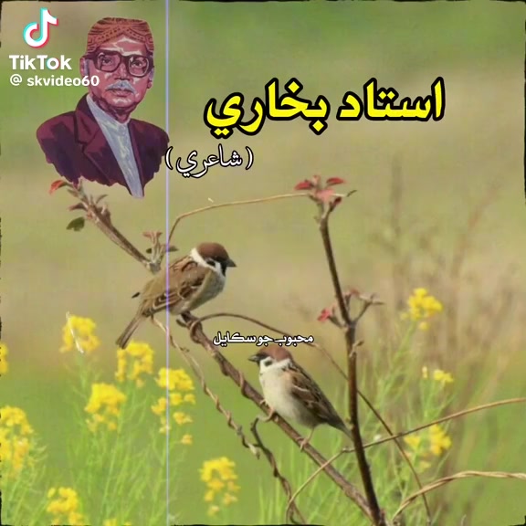 @jififu