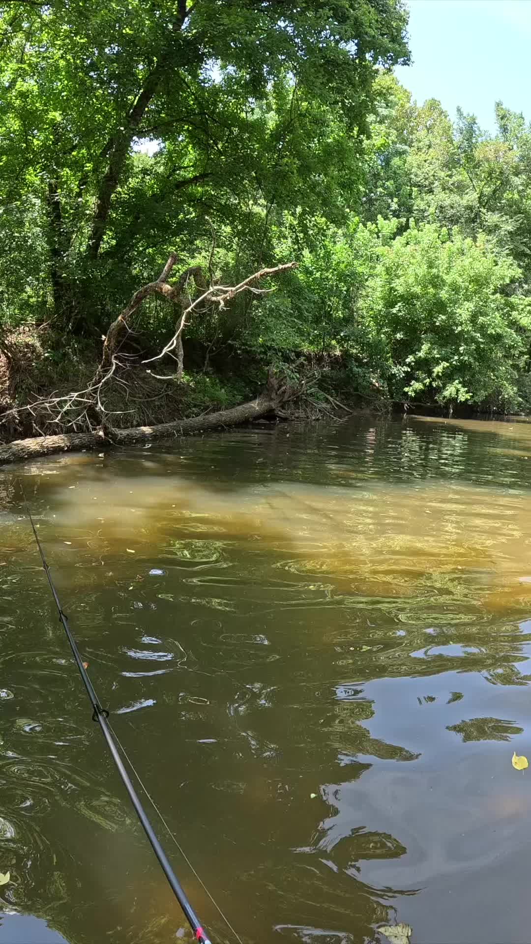 @Creek Seeker Outdoors