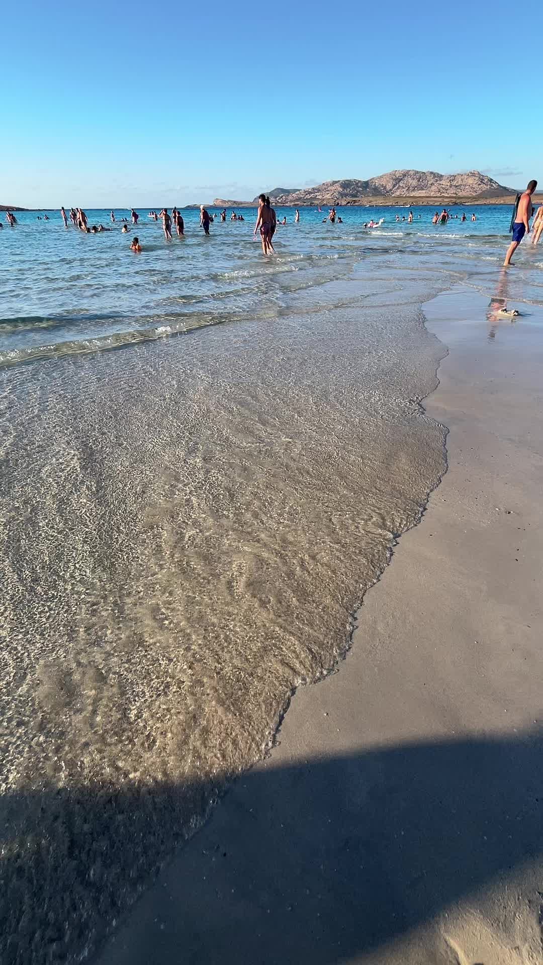 @Eli1988