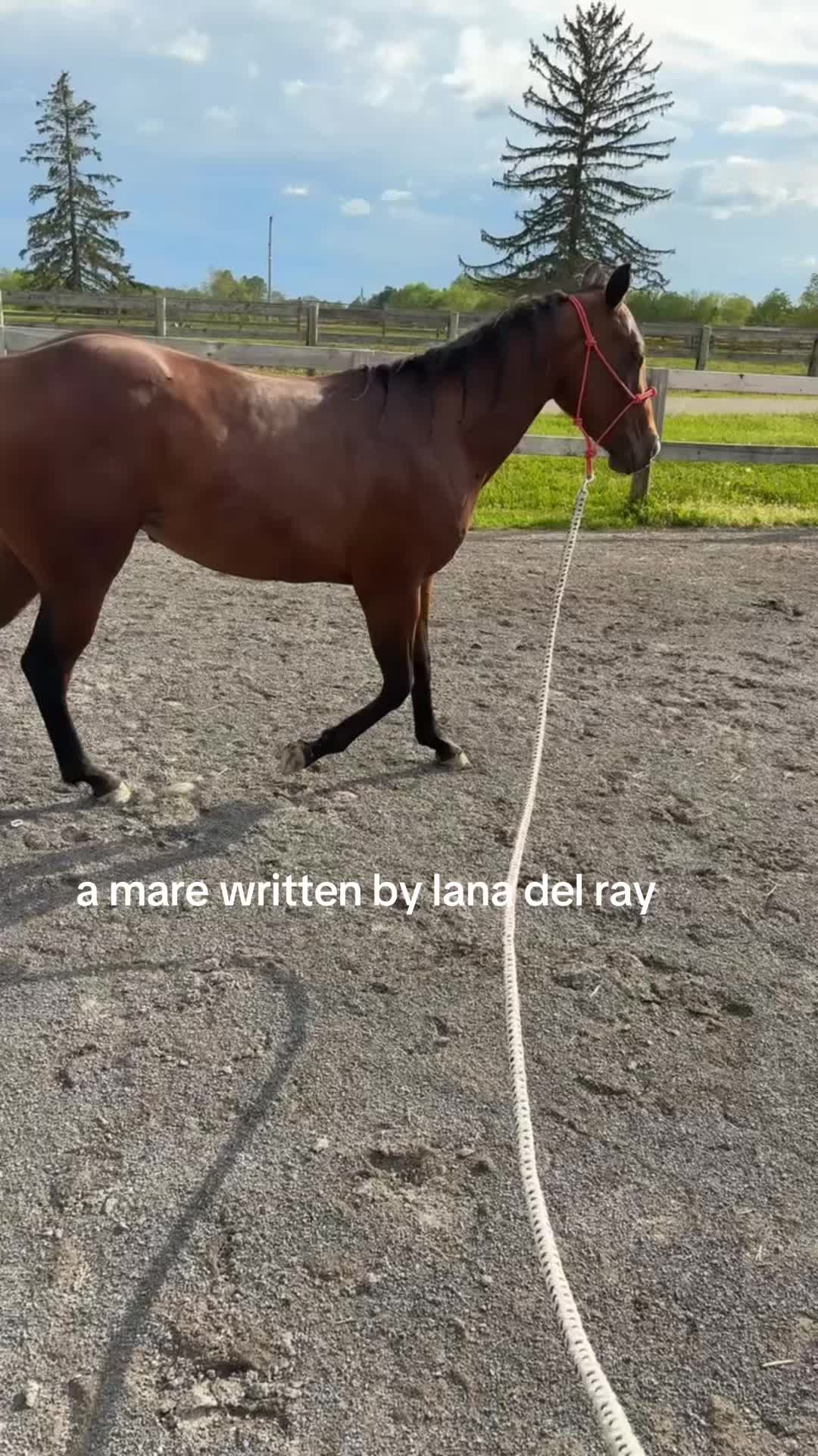 @Ems