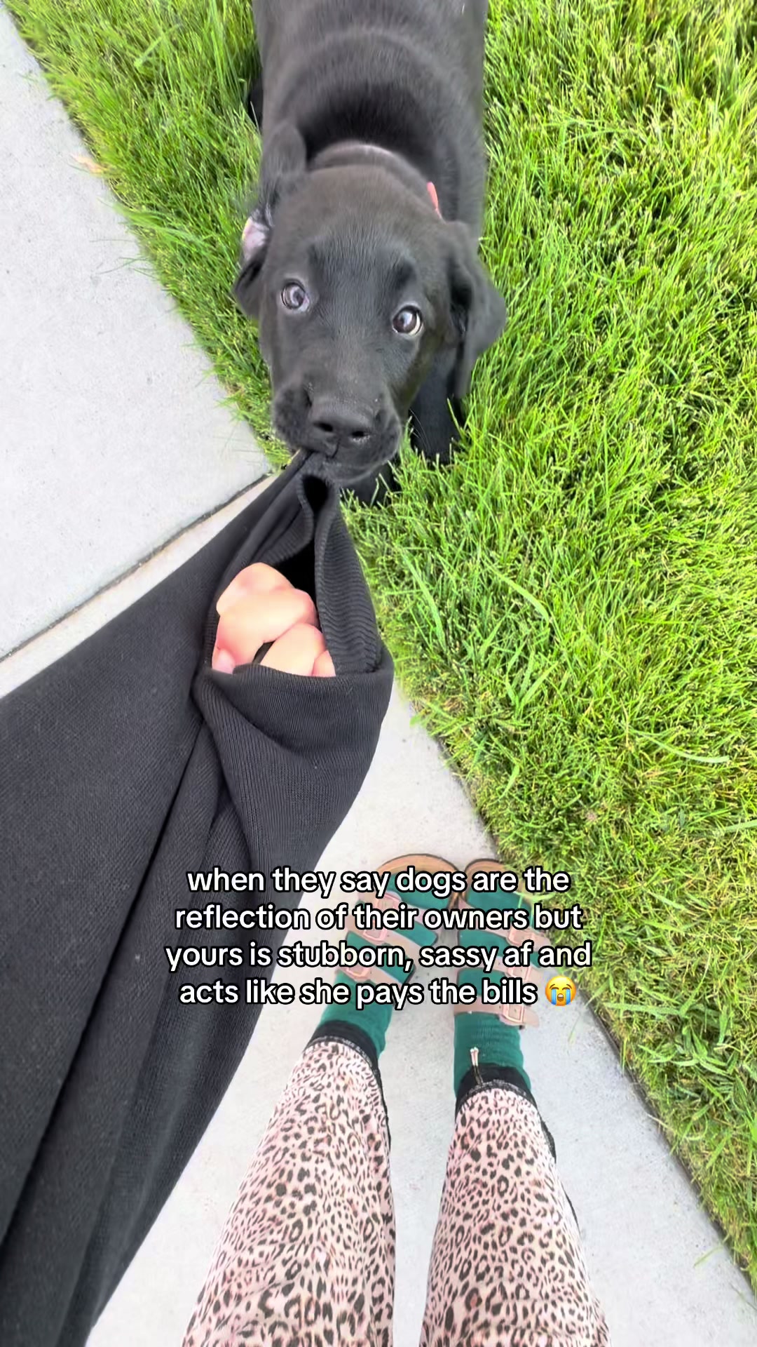 @Life with Luna🐾
