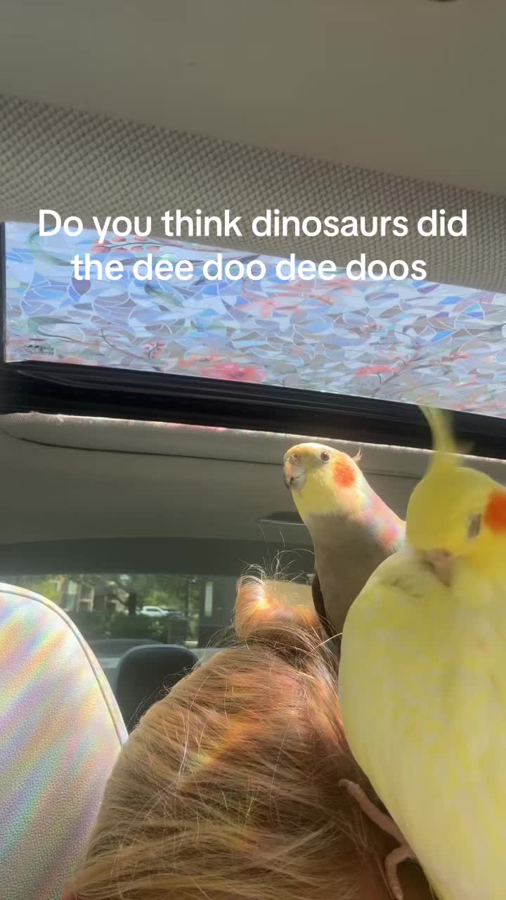 @Alissa D'Amore