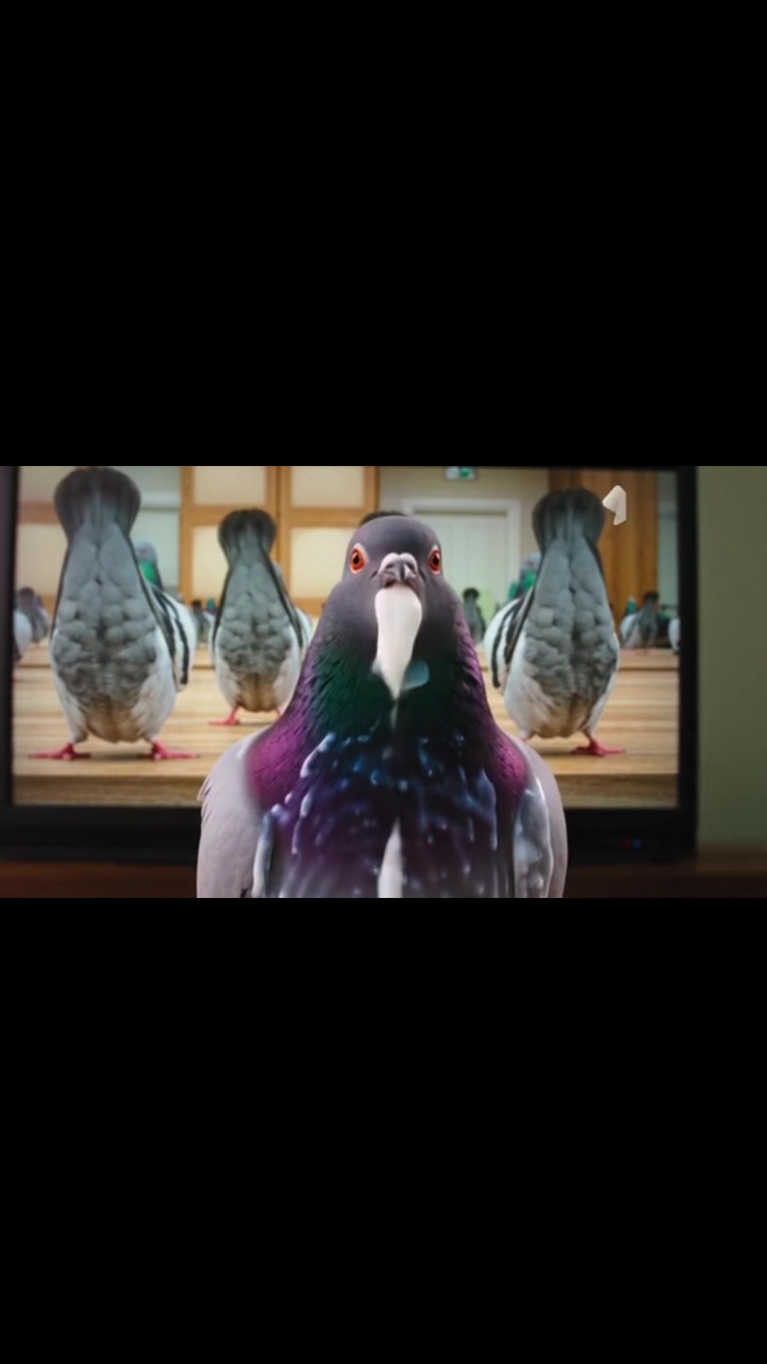@Silver Sigeon