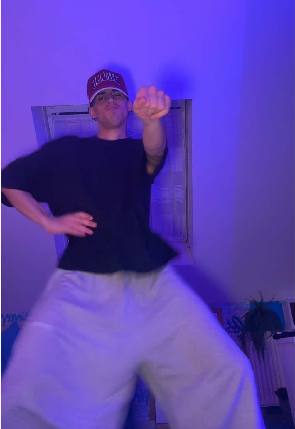@DIO 🪼