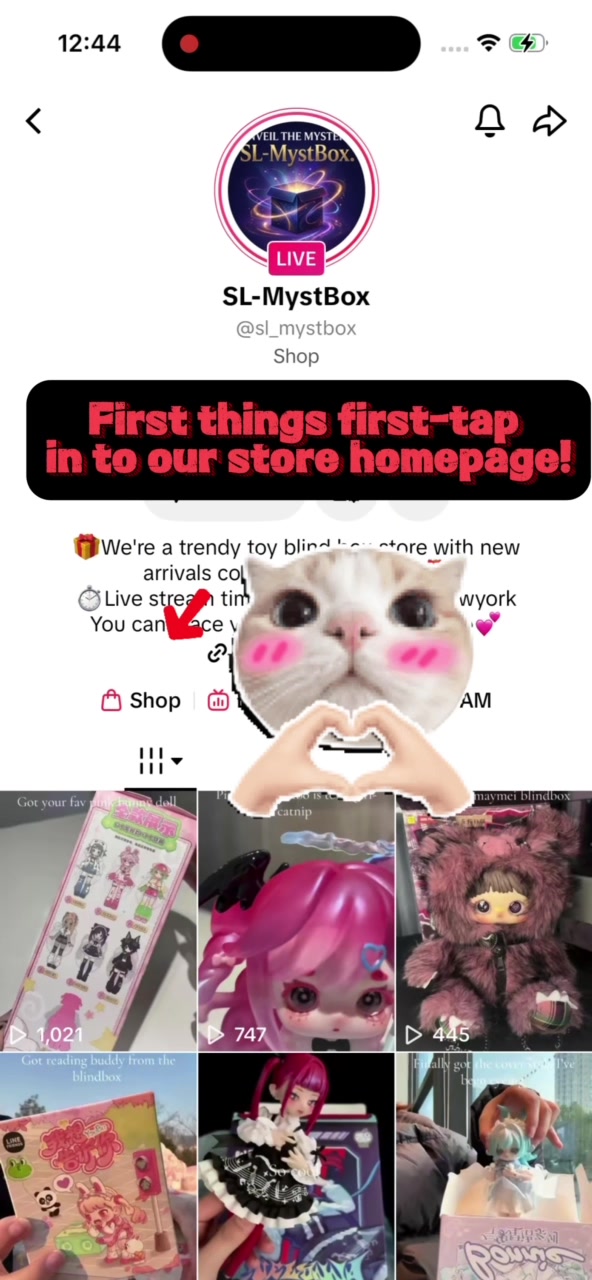 @SL-MystBox