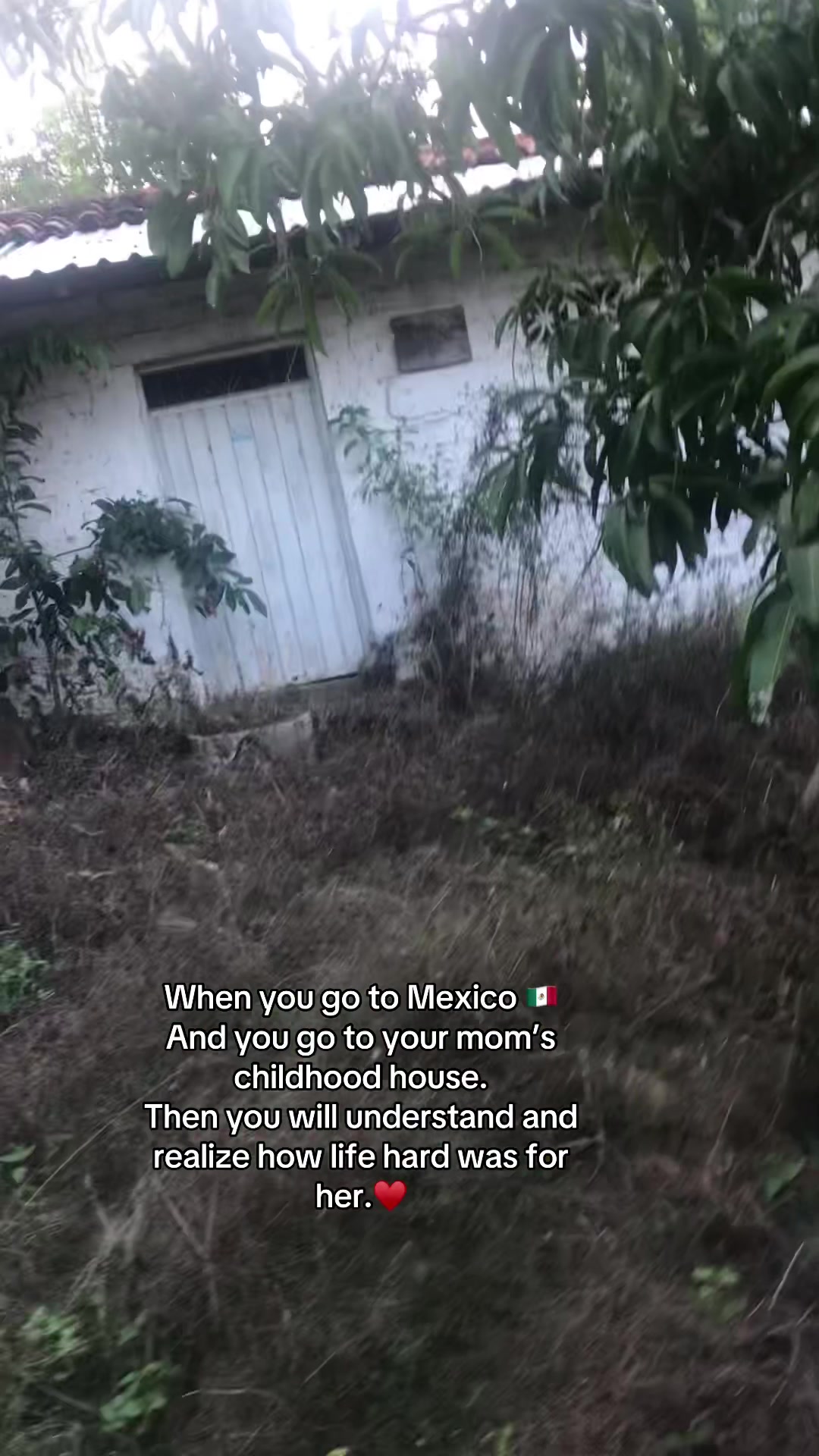 @gypcepi