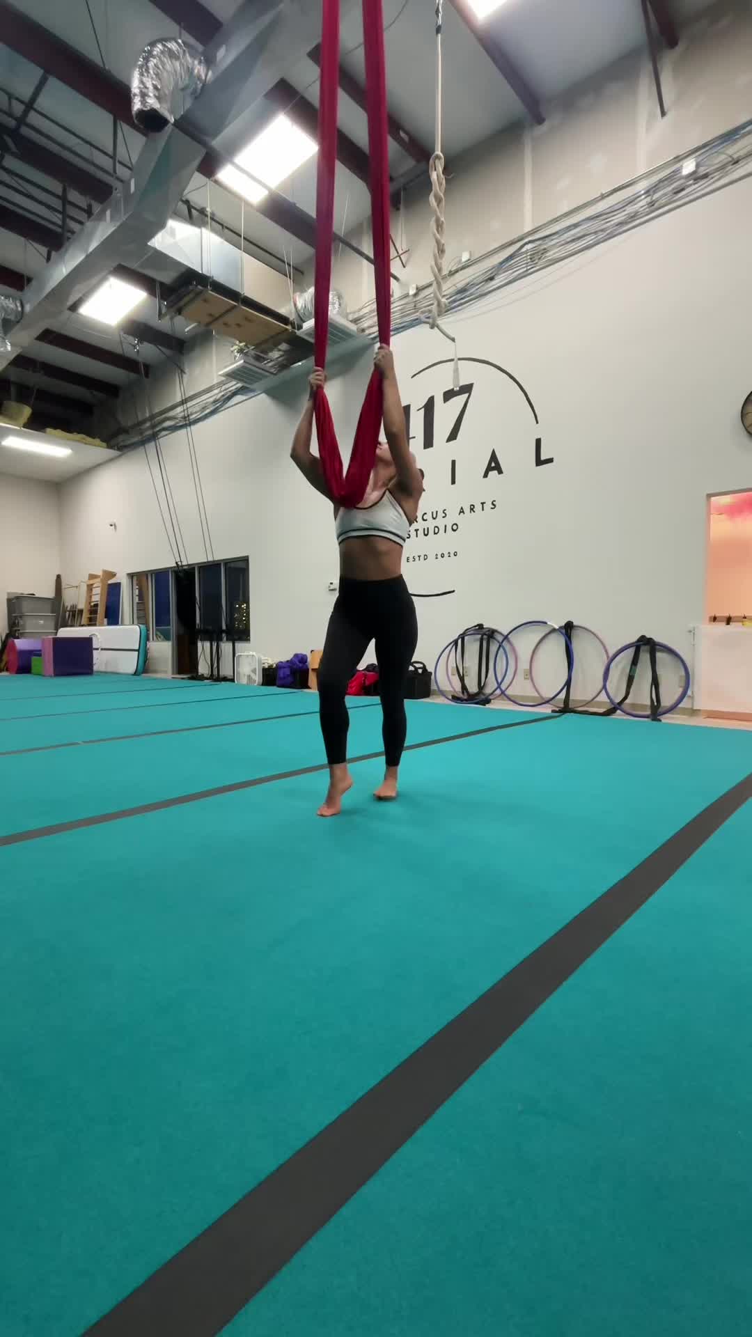 @AerialDeidra