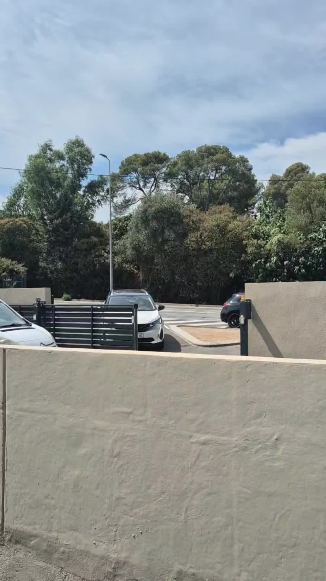 @Zagalo007