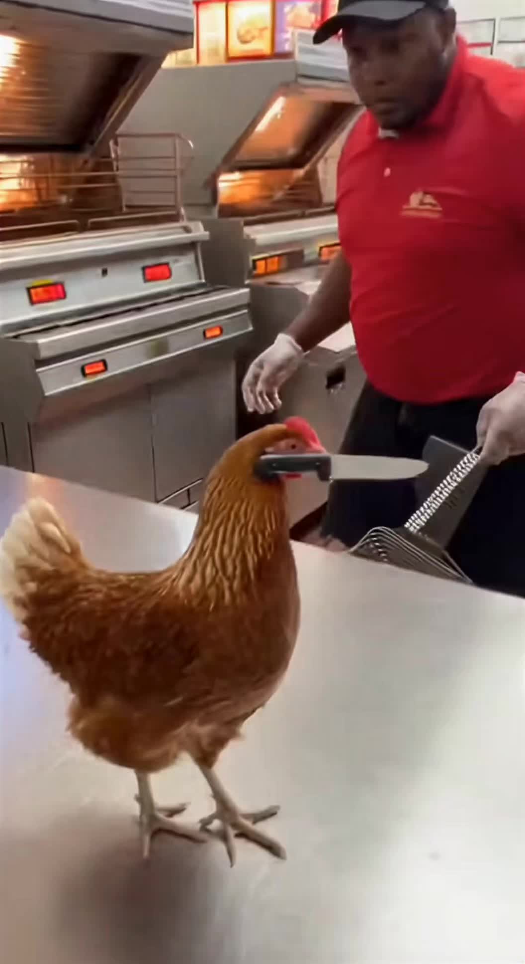 @VideoTop