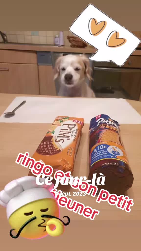 @Bianca & ringo