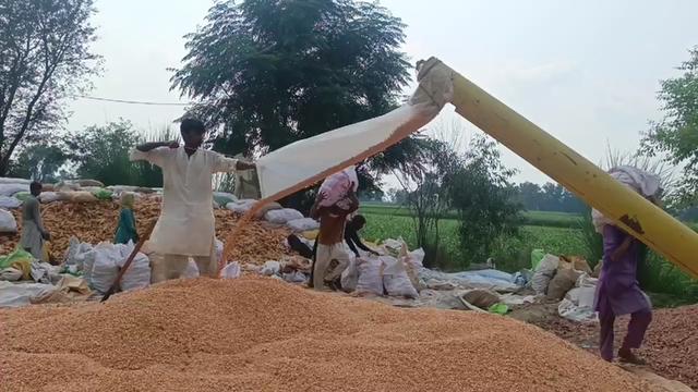 @Pakistan Kisan T.V
