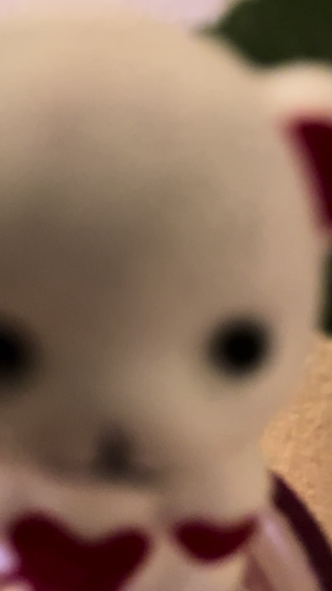 @🎵𝓜𝓾𝓼𝓲𝓬🎵