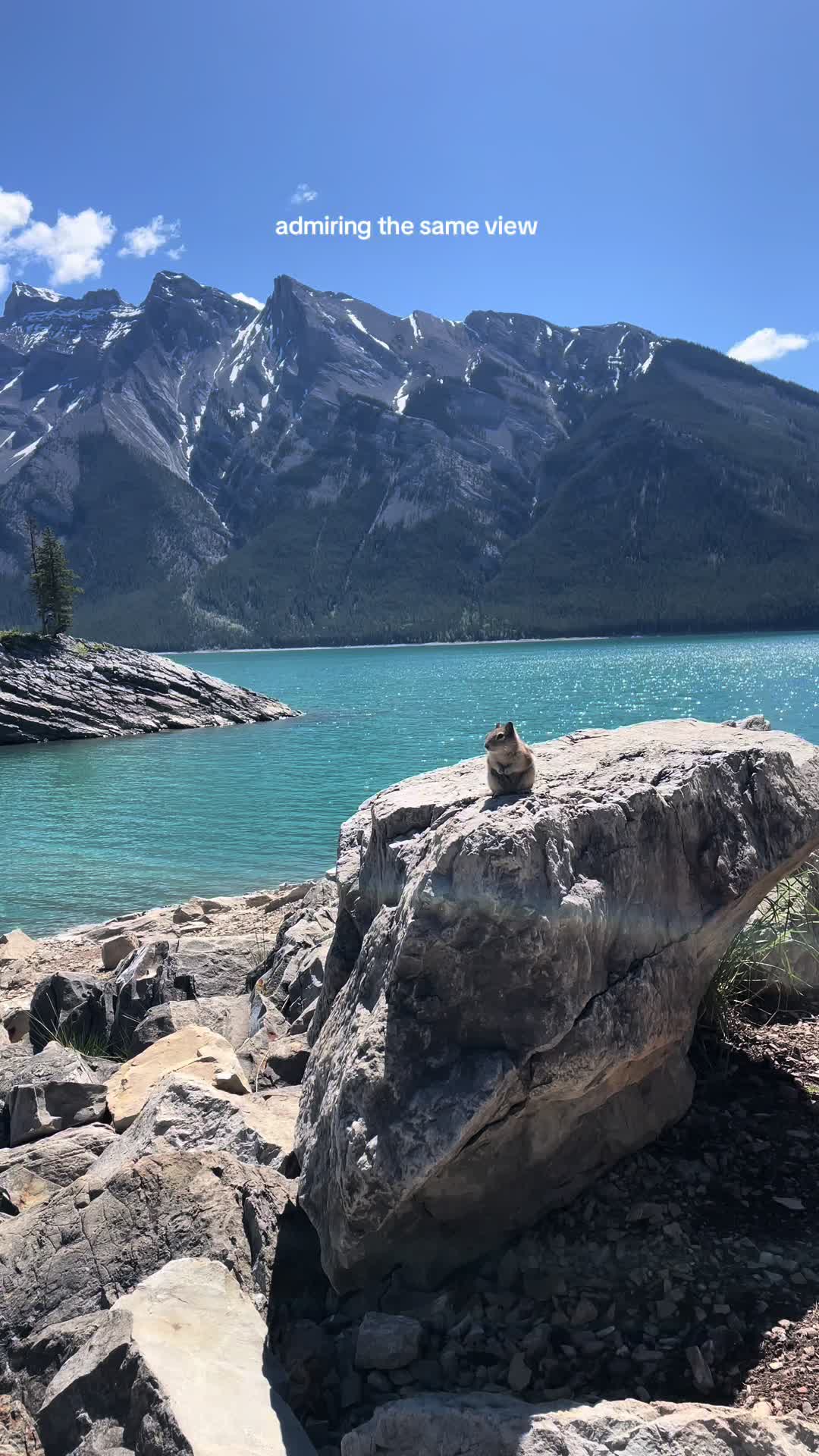 @janaashl 🇨🇦🌿