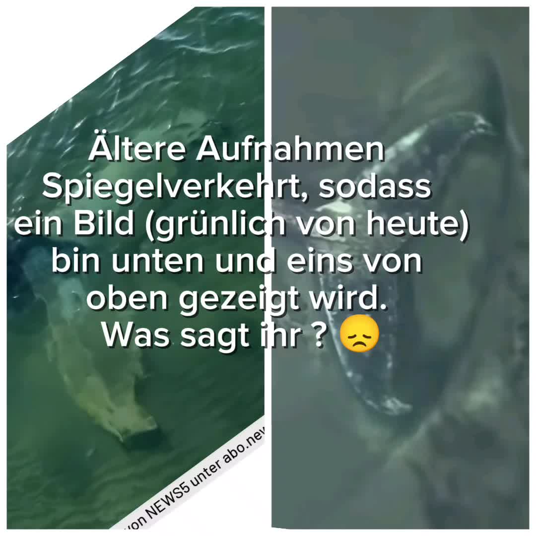 @💚Nadi💚🐋🙏🏼